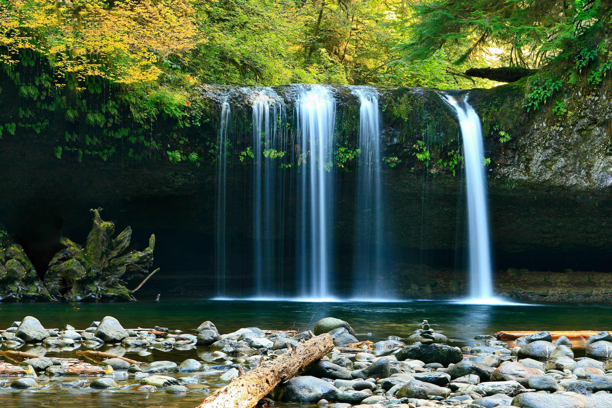 14 Survival Wasseraufbereitung Methoden